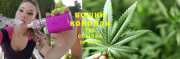 прущие грибы Няндома