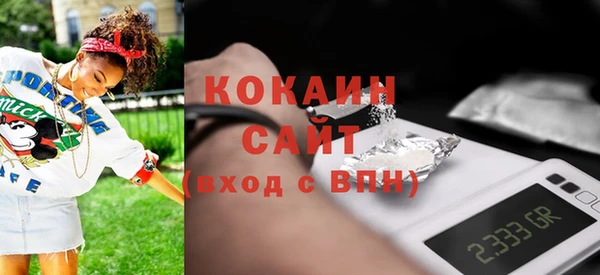 прущие грибы Няндома