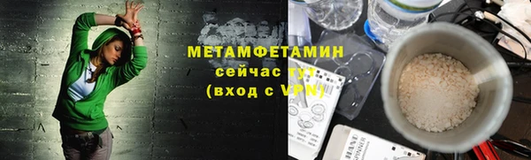 прущие грибы Няндома