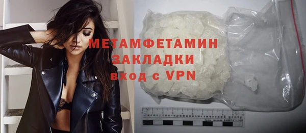 прущие грибы Няндома
