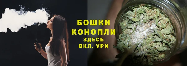 прущие грибы Няндома