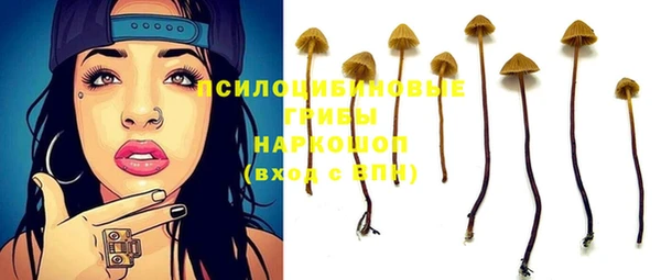 винт Нязепетровск