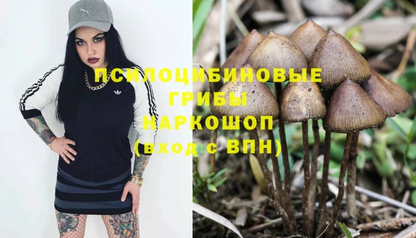 прущие крисы Нягань