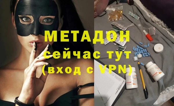 прущие грибы Няндома