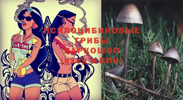 apvp Новокубанск
