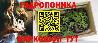соль курить ск Можга