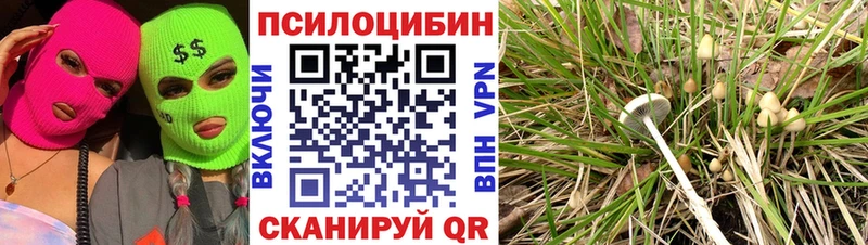 как найти наркотики  Химки  Псилоцибиновые грибы ЛСД 