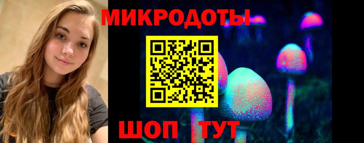 Химки  Галлюциногенные грибы Magic Shrooms  Вход с VPN  Псилоцибиновые грибы Psilocybine cubensis 
